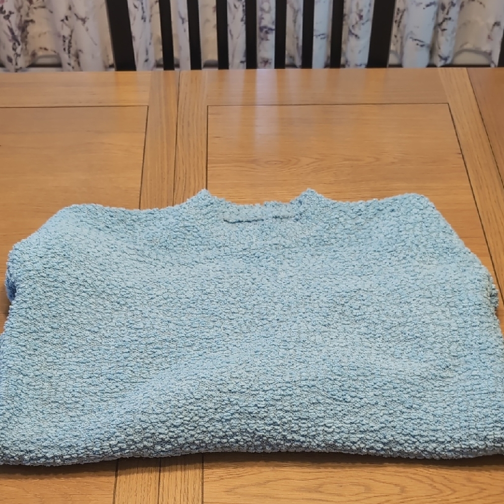 Unk Women's Light Blue Crew Neck Sweater